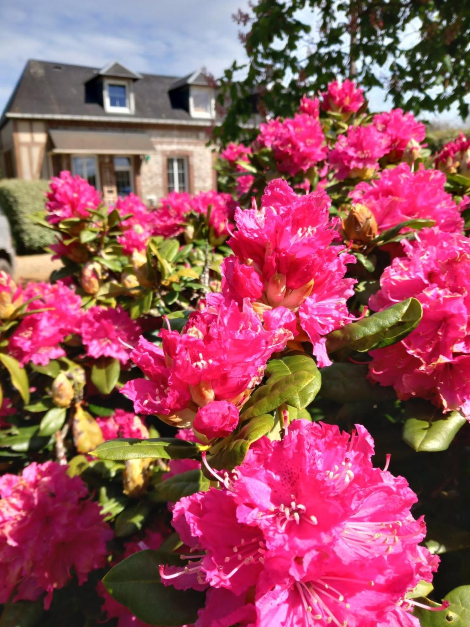 Maison De Vacances Clos Des Hogues Entre Etretat Et Fecamp Saint-Leonard (Seine-Maritime) ภายนอก รูปภาพ